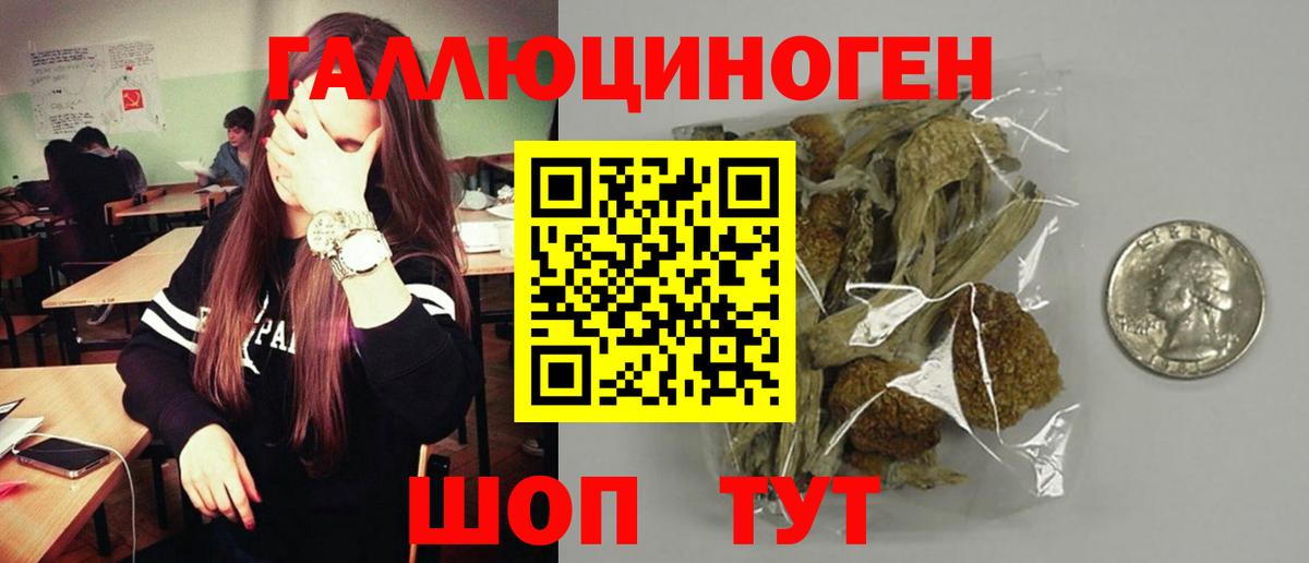 Саров  купить наркотик  Псилоцибиновые грибы мицелий  Вход с VPN  Псилоцибиновые грибы Magic Shrooms 